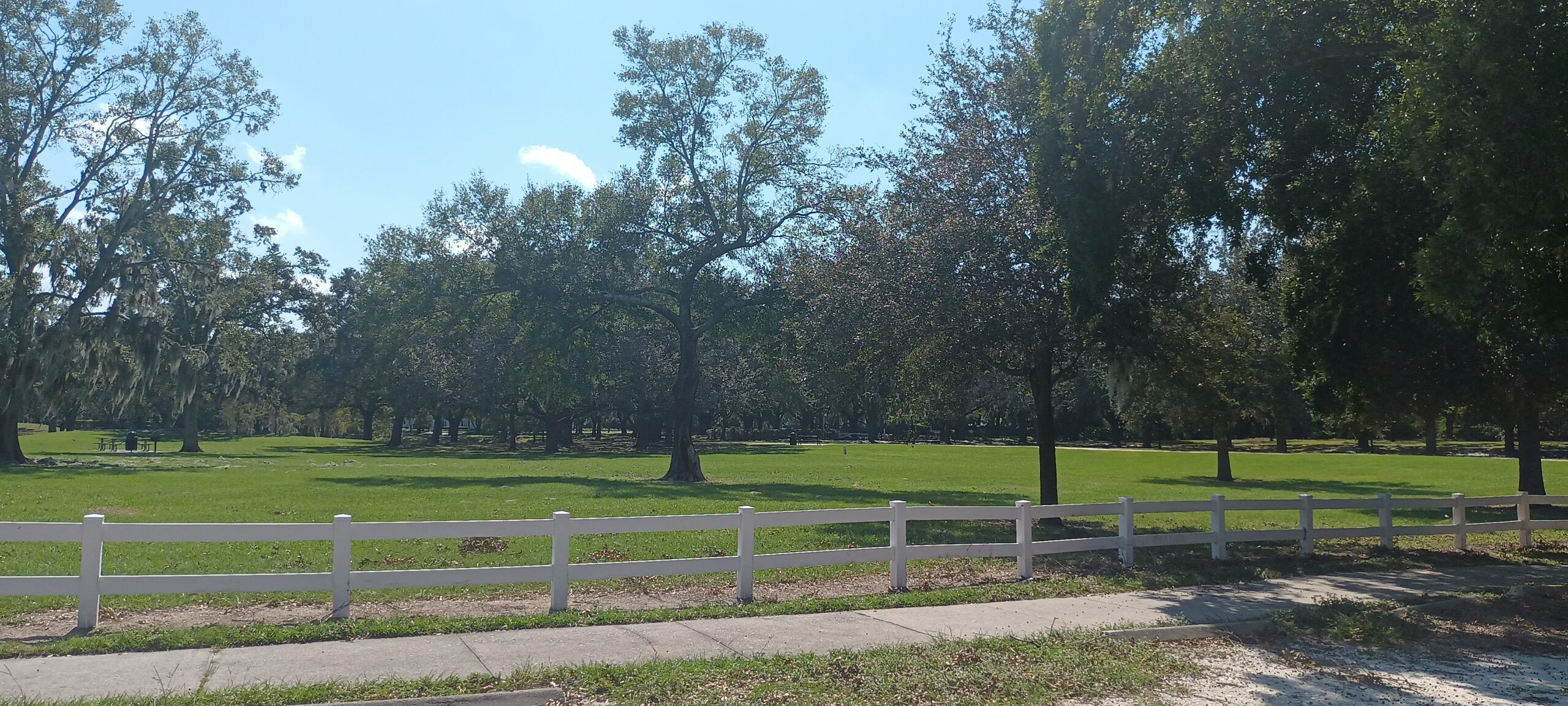 Park Reopens – Game On